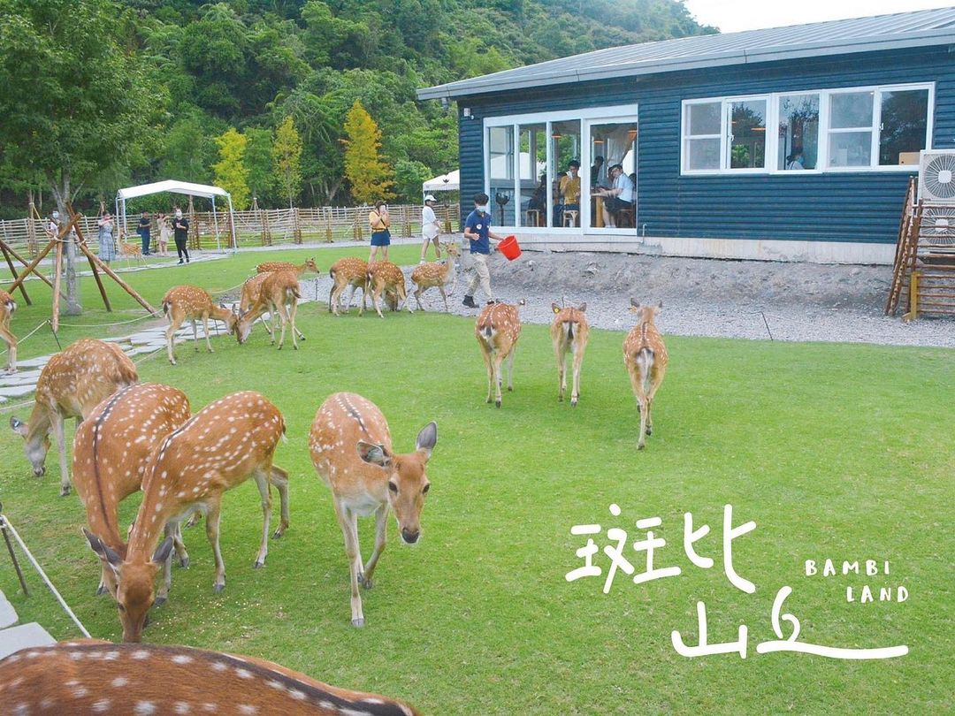 2024台灣自由行旅行休閒農場推薦