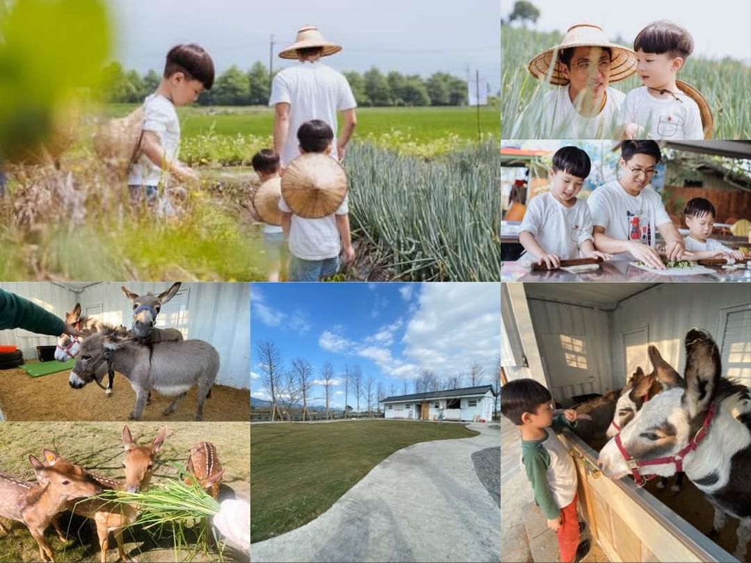 2024台灣自由行-台灣旅行休閒農場推薦-星寶鄉間小路體驗農場