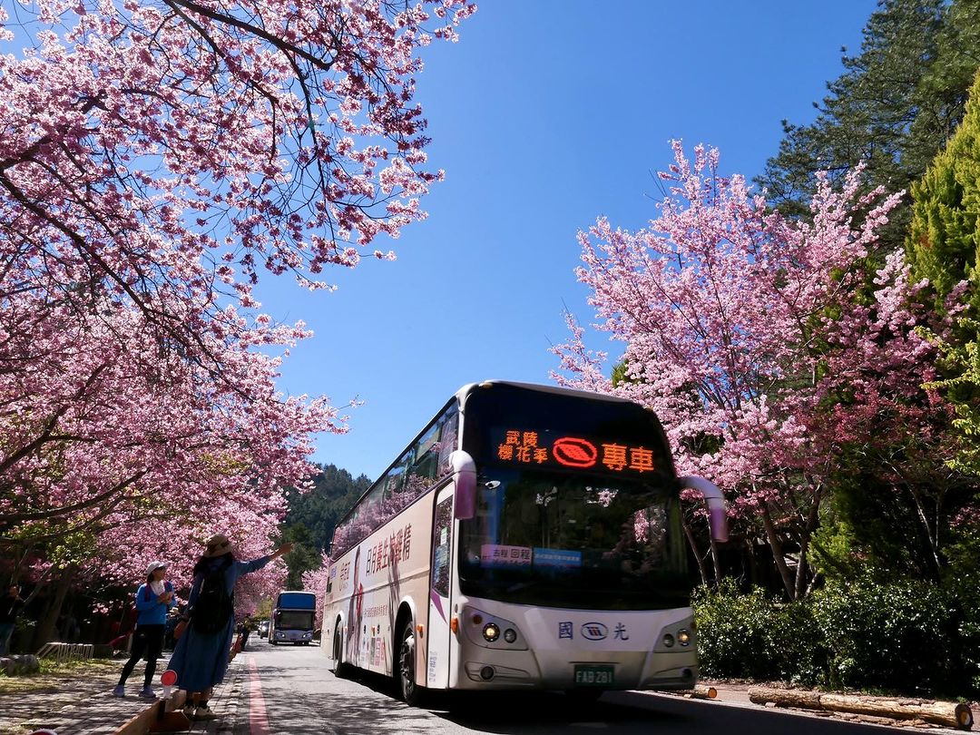 2024台灣自由行-台灣旅行休閒農場推薦-武陵農場