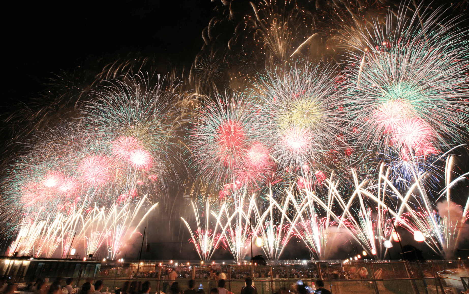 【新潟縣】長岡祭大花火大會