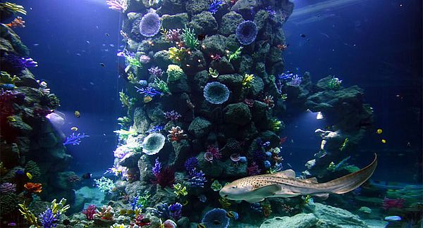 Gran-Canaria-Poema-del-Mar5.jpg