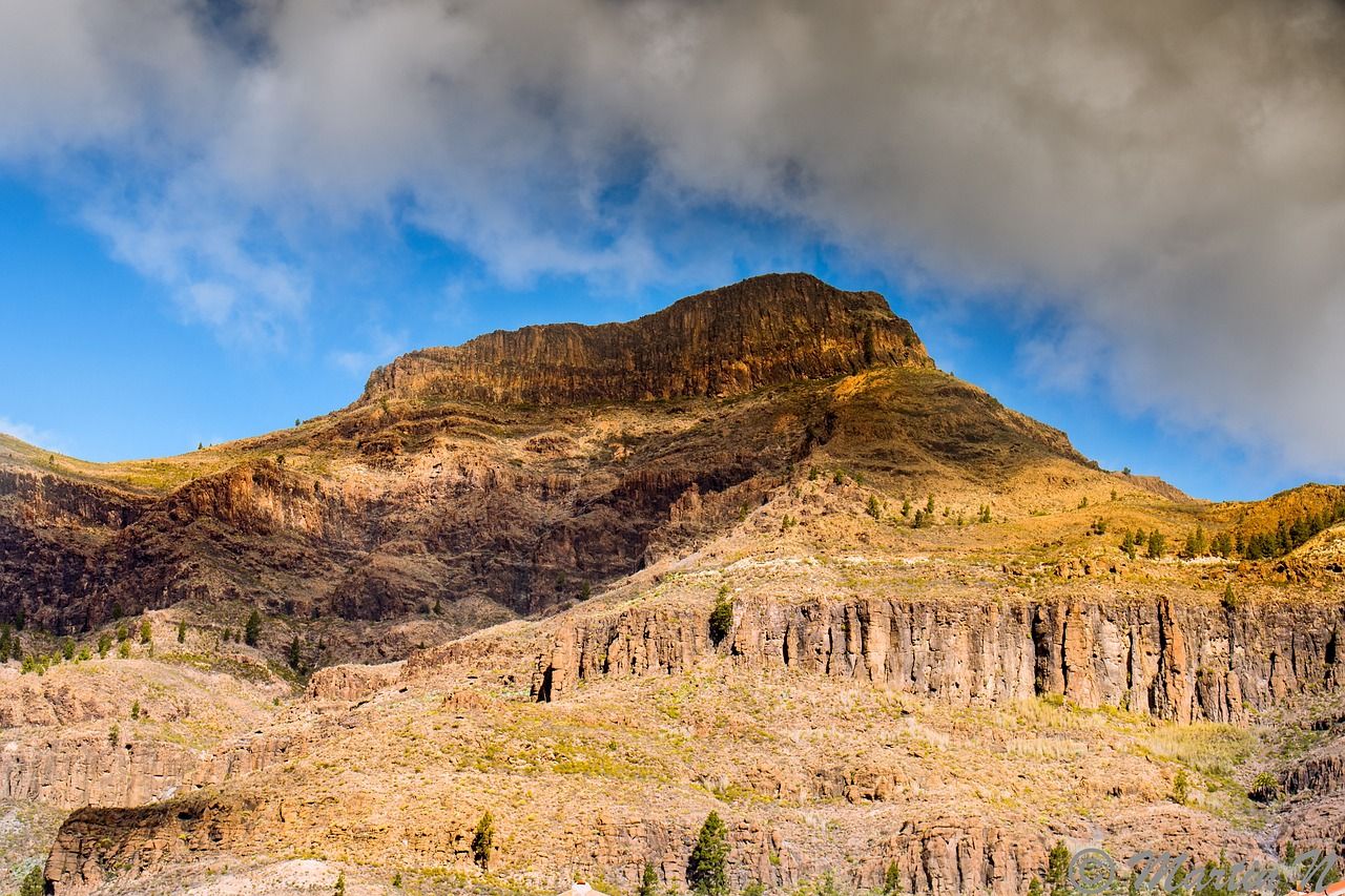 canary-islands-2264871_1280.jpg