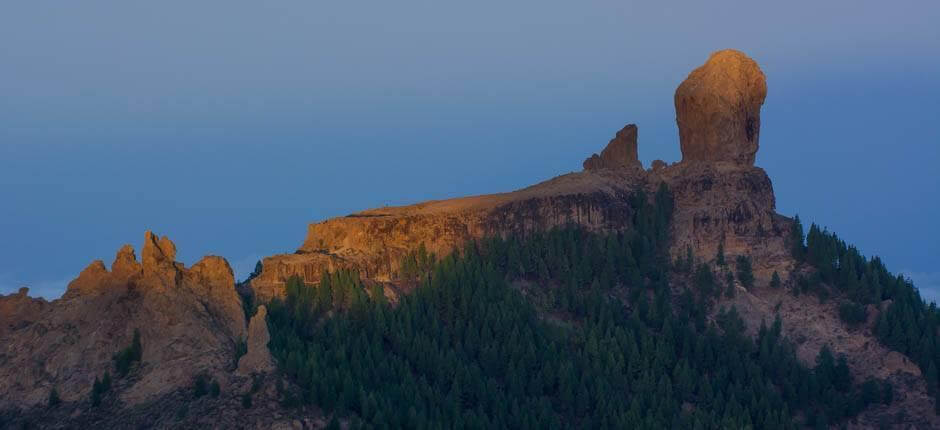 mirador_pozo_de_las_nieves-gran_canaria_4.jpg