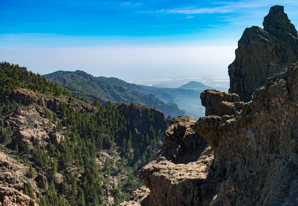 shutterstock_366449897-1.jpg